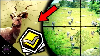 The Most Insane Lesser Kudu Hotspot!!! MUST TRY!!! | theHunter: Call of the Wild