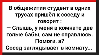 У меня в Комнате Две Бабы, Сам Не Справлюсь! Сборник Свежих Анекдотов! Юмор!