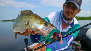 Brown Perch Fish KayuKer