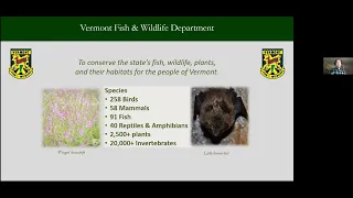 Bird Species and Habitat Conservation across Vermont with Doug Morin