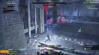 Clip TESO pvp noProc/noCP  Некромант дуэтом в нонЧП Имперке