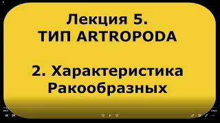 Зоология беспозвоночных. Курс лекций. Лекция 5. Тип членистоногие. Характеристика ракообразных.