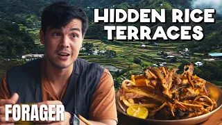 Best Rice Terraces to Camp in the Philippines with Erwan