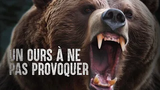 Les ours les plus meurtriers au monde