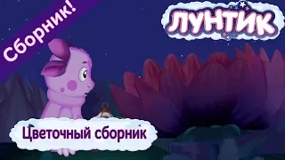 Цветочный сборник 🌼 Лунтик 🌼 Сборник мультфильмов