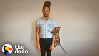 This Cat Insists on Crashing His Dad's Auditions | The Dodo