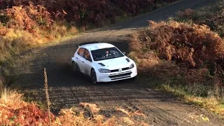 Grizedale Forest Stages Rally 2022!