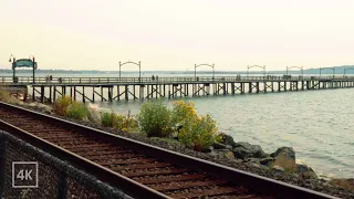We Visited White Rock So You Don't Have To! Relaxing ASMR Promenade Walk