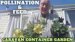 Pollination & Feeding Our Plants Full Time Caravan Life