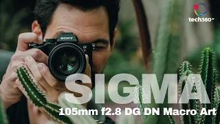 Sigma 105 f2.8 DG DN Macro Art Lens First Impressions: Beautiful!!