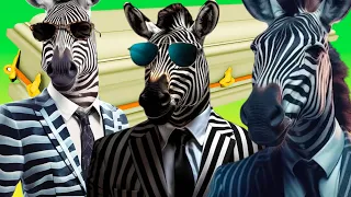 Funny Zebra - Coffin Dance Song (COVER)