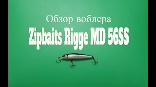 Видеообзор воблера Zipbaits Rigge MD 56SS по заказу Fmagazin