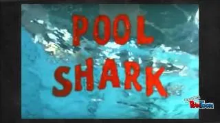 Pool Shark - Short Film Analysis