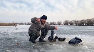 ДОСТАЮ ПО ДВЕ ШТУКИ ЗА РАЗ! ПРОВОРНЫЕ ВОРОНЫ ВОРУЮТ МОЮ РЫБУ. Последний лёд.