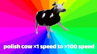 polish Cow meme ×1 speed to ×100 speed