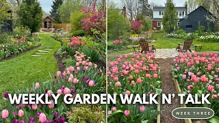 APRIL GARDEN TOUR 2024 // Spring Bulb Tour // Weekly Garden Walk N' Talk // Northlawn Flower Farm