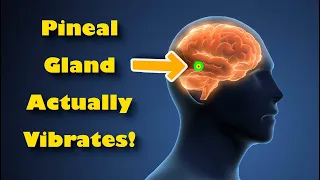 ᴴᴰ Vibrating Frequency to CLEAN Pineal Gland: Powerful DETOX • CLEANSE • PURIFYING Audio Waves