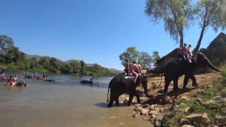 Таиланд ~ ( Thailand )  купание слонов