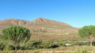 CAMPING IN KOUE BOKKEVELD, SOUTH AFRICA | Suikerbossie Guest Farm | Western Cape