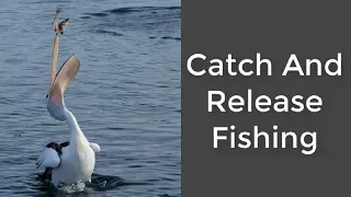 Catch And Release Fishing Gifts For Fishermen