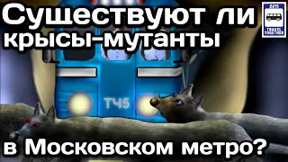 ❓Существуют ли крысы-мутанты в Московском метро? | Are there mutant rats in the Moscow subway?