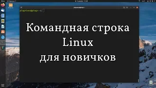 Linux command line for beginners