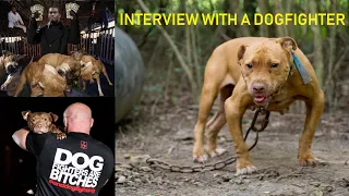 American Pitbull Dogfight - Interview with a Dogfighter!