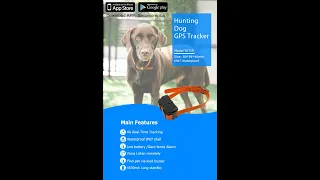 Cantrack YG119 Test- Hunting Dog GPS Tracker