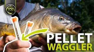 PELLET WAGGLER - NEU! Ethos XR-W Ruten