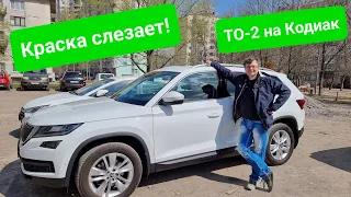 Skoda Kodiaq: первые проблемы с ЛКП и салоном, результаты ТО-2 и итоги первого года эксплуатации