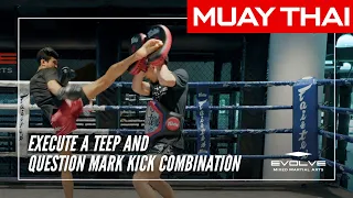 Muay Thai | How To Execute A Teep And Question Mark Kick Combination