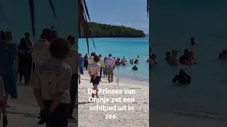 🇨🇼 Amalia Prinses van Oranje zet een schilpad uit in zee 🇳🇱🐢👑