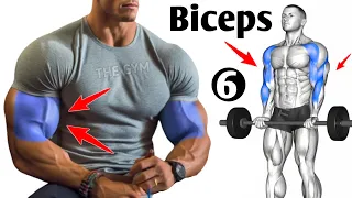 6 Magic Exercises to Big Biceps Workout At Gym