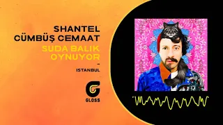 Shantel & Cümbüş Cemaat - Suda Balık Oynuyor (İstanbul)