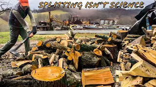 The Ultimate Splitting Tutorial: Everything You Need to Know About Firewood!