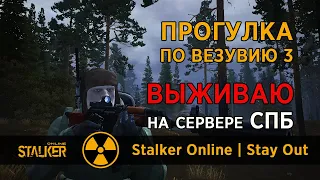 144. Прогулка по Везувию 3. #СталкерОнлайн #StalkerOnline #StayOut #СталкерБаннерщик