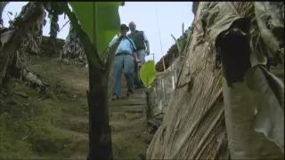 Ter energia sem pagar conta de luz? Veja como um brasileiro conseguiu essa façanha