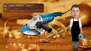 Esmerilhadeira Angular GWS 22 Professional da Bosch