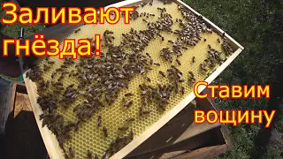 РАСШИРЕНИЕ вощиной! КАРНИКА заливает МЁДОМ!