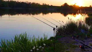 Рибалка на сома! Або як я три ночі ганявся за сомами по річці Рось!