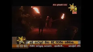 Hiru News 9.55 PM | 2019-11-25