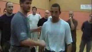 Vladimir Vasiliev Systema UK workshop 2006