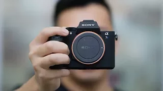 Sony a7S II & GH5 Lack This One Thing For Reliable Video AutoFocus!