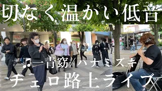 新緑の街で突然プロのチェロ奏者が一青窈“ハナミズキ”を弾いたらお客様が集まり、駅が温かい雰囲気に...【ストリートチェロ】