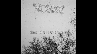 Hell Wehrwolf (Russia) — Among The Old Trees  — 2021 demo