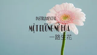 Beat Instrumental Một Đường Nở Hoa || 一路生花 || Beat Cover