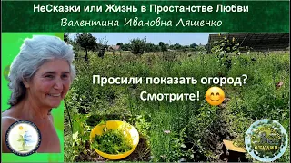 Просили показать огород? Смотрите!:)