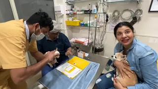 Finally our CHHUNCHHUN is SAFE🤟| Ss vlogs :-)