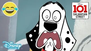 101 Dalmatian Street | Target Pups - Episode 🎯 | Disney Channel UK