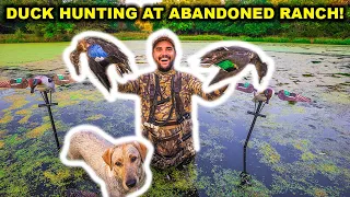 DUCK HUNTING at My ABANDONED Deer RANCH!!! (Catch Clean Cook)